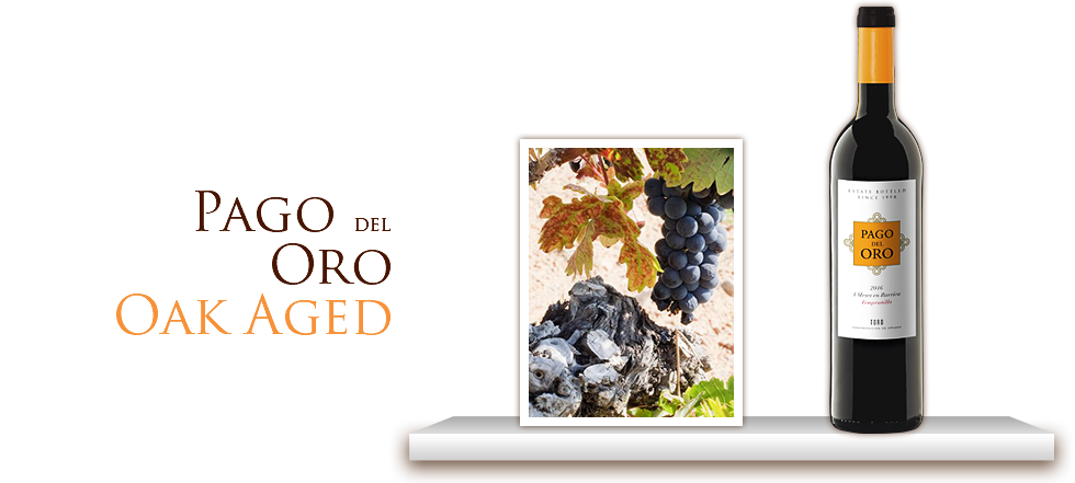 Pago del Oro | Oak Aged